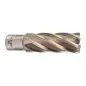 TRÉPAN HSS POUR PERCEUSE À EMBASE MAGNÉTIQUE 23X50MM (X1) TRÉPAN HSS POUR PERCEUSE À EMBASE MAGNÉTIQUE 23X50MM (X1)