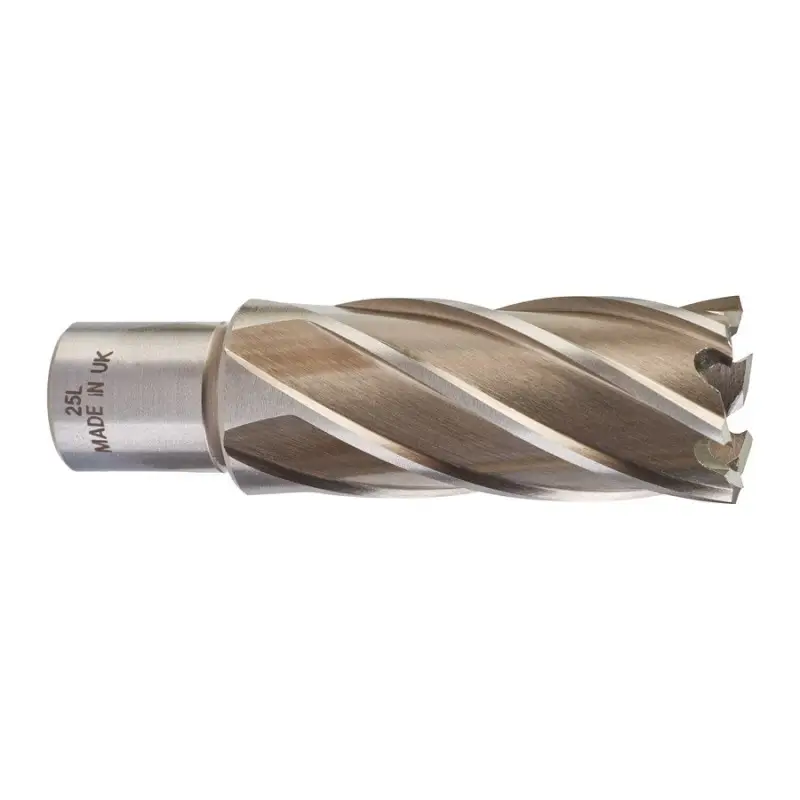 TRÉPAN HSS POUR PERCEUSE À EMBASE MAGNÉTIQUE 25X50MM (X1) TRÉPAN HSS POUR PERCEUSE À EMBASE MAGNÉTIQUE 25X50MM (X1)