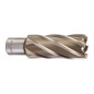TRÉPAN HSS POUR PERCEUSE À EMBASE MAGNÉTIQUE 26X50MM (X1) TRÉPAN HSS POUR PERCEUSE À EMBASE MAGNÉTIQUE 26X50MM (X1)