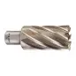 TRÉPAN HSS POUR PERCEUSE À EMBASE MAGNÉTIQUE 32X50MM (X1) TRÉPAN HSS POUR PERCEUSE À EMBASE MAGNÉTIQUE 32X50MM (X1)