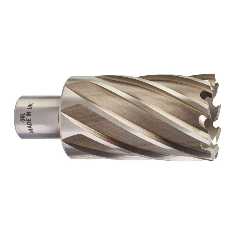 TRÉPAN HSS POUR PERCEUSE À EMBASE MAGNÉTIQUE 36X50MM (X1) TRÉPAN HSS POUR PERCEUSE À EMBASE MAGNÉTIQUE 36X50MM (X1)