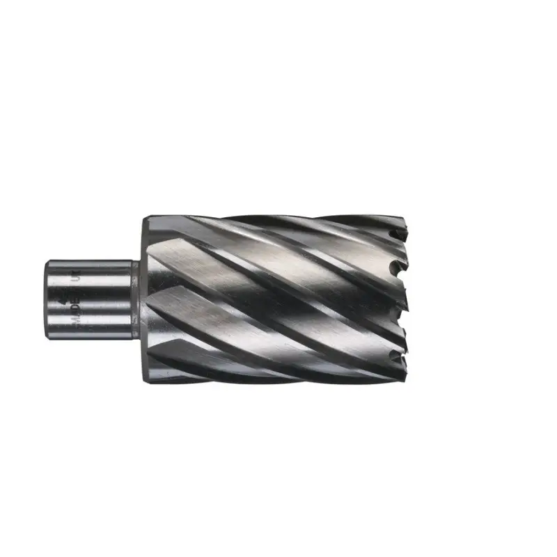 TRÉPAN HSS POUR PERCEUSE À EMBASE MAGNÉTIQUE 40X50MM (X1) TRÉPAN HSS POUR PERCEUSE À EMBASE MAGNÉTIQUE 40X50MM (X1)