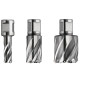 Fraise HSS Nova 25 spéciale multi-couches Weldon 3/4" - Ø14.3x25mm Référence 63134143301 Fein Fraise HSS Nova 25 spéciale multi-couches Weldon 3/4" - Ø14.3x25mm Référence 63134143301 Fein