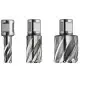 Fraise HSS Nova 25 spéciale multi-couches Weldon 3/4" - Ø28x25mm Référence 63134280301 Fein Fraise HSS Nova 25 spéciale multi-couches Weldon 3/4" - Ø28x25mm Référence 63134280301 Fein