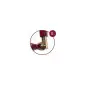 SERRE JOINT A POMPE MAXIPRESS F - Capacite serrage 50 cm SERRE JOINT A POMPE MAXIPRESS F - Capacite serrage 50 cm