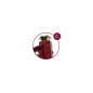 SERRE JOINT A POMPE MAXIPRESS F - Capacite serrage 60 cm SERRE JOINT A POMPE MAXIPRESS F - Capacite serrage 60 cm