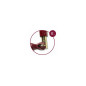 SERRE JOINT A POMPE MAXIPRESS F - Capacite serrage 140 cm SERRE JOINT A POMPE MAXIPRESS F - Capacite serrage 140 cm