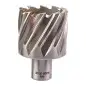 TRÉPAN HSS POUR PERCEUSE À EMBASE MAGNÉTIQUE 44X30MM (X1) TRÉPAN HSS POUR PERCEUSE À EMBASE MAGNÉTIQUE 44X30MM (X1)