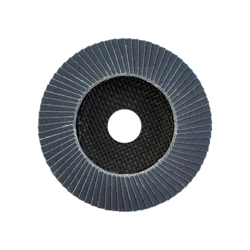 DISQUE À LAMELLES SL50/Diam. 125 G40 1 PC DISQUE À LAMELLES SL50/Diam. 125 G40 1 PC