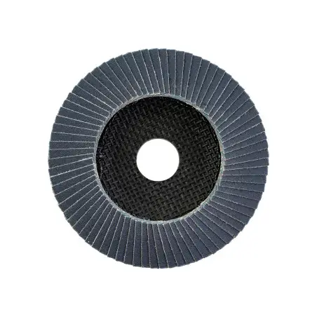 DISQUE À LAMELLES SL50/Diam. 125 G40 1 PC