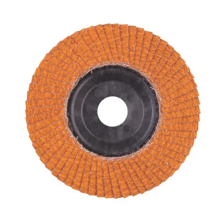 DISQUE À LAMELLES SLC50/ Diam. 125 G80 1 PC
