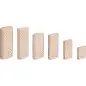 DOMINO en hêtre D 8x50/100 BU Festool