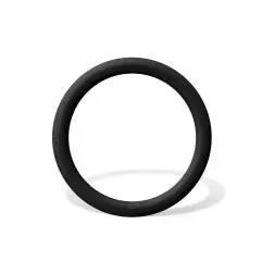 Circlips Fein