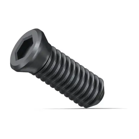 Vis de fixation KX Fein