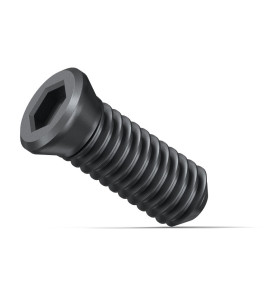 Vis de fixation KX Fein