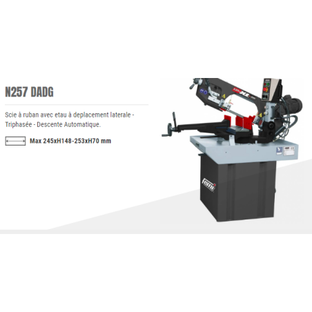 Scie à ruban 2480 semi auto droite gauche 2 vitesses 400V Art:N257DADG Code:8488056 Femi